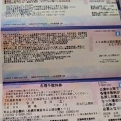 北海道モエレ沼芸術花火２０２３【取引き決まりました】
