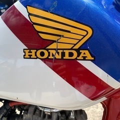 HONDA FTR223 MC34 ロンスイ スカチューン トリコロール (T) 新潟の