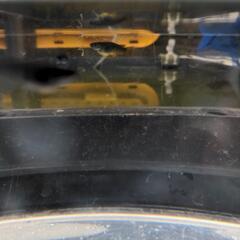 メタカ　めだか　有精卵の画像