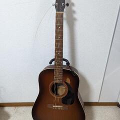 シーガル Seagull 極上! S6 TOBACCO BURS...