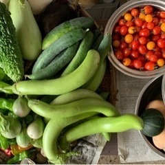 野菜各種