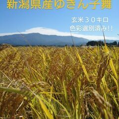 令和５年度 新潟県産 ゆきん子舞 新米 玄米 ３０キロ　残り４袋!!