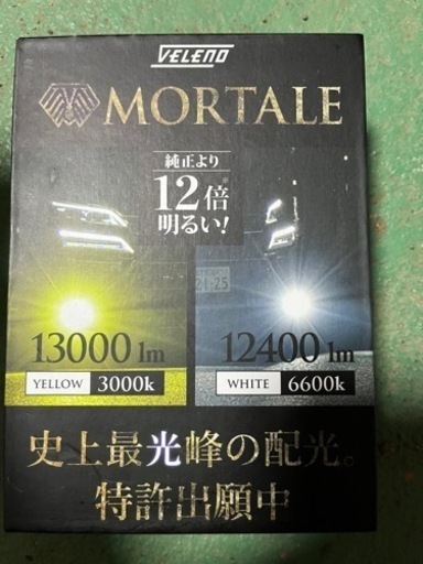 ベレーノモルターレフォグランプ H8