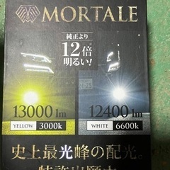 ベレーノモルターレフォグランプ H8