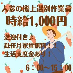 【日払い】週払いもOK！工場・軽作業スタッフ！《3952》