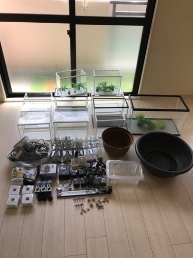 めだか、金魚水槽豪華セット