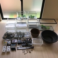 めだか、金魚水槽豪華セット