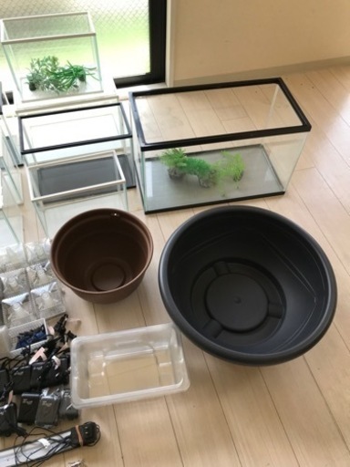 めだか、金魚水槽豪華セット