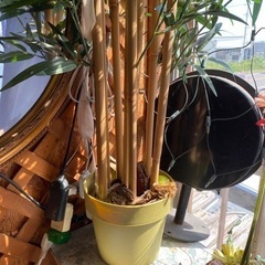 竹 ササ フェイクグリーン 置物の画像