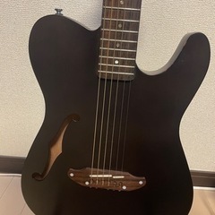 SCHECTER/OL-FL エレアコ