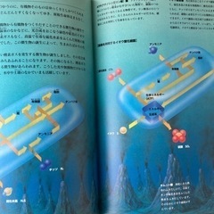 【商談中】微生物　中古本　　微生物と人間編の画像