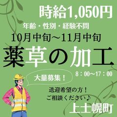 【日払い◎】週払いもOK！薬草の加工スタッフ！《4307》
