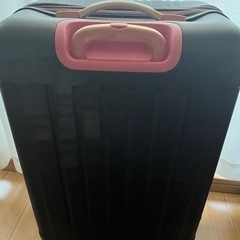 キャリーバック大きめの画像