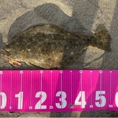 釣り仲間募集！🐟🐟🐟女性や初心者の方もOK