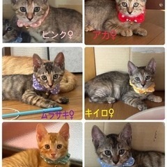君たち可愛いすぎやろ〜