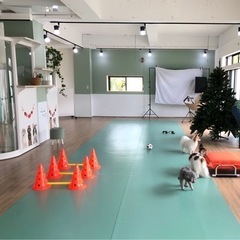 9月ワンコミーティング🐶 - その他