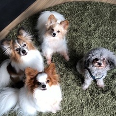 9月ワンコミーティング🐶