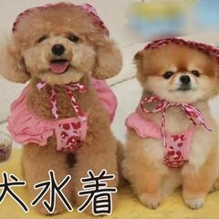 犬用水着&帽子