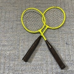やや小さめバトミントン　