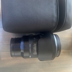 Sony eマウント　sigma