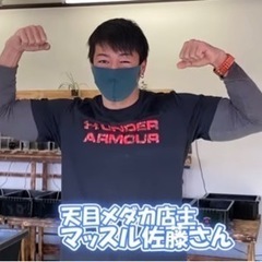 まだまだメダカシーズン続行中‼️明日から限定ボトル1000円🐟1...