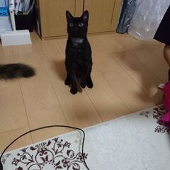 可愛がってくれる方