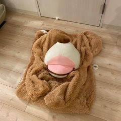 ぬいぐるみ