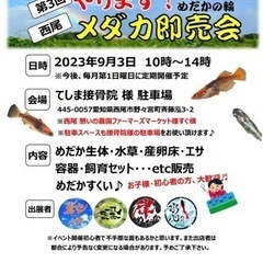 メダカ即売会。西尾🐟9月3日❗️
