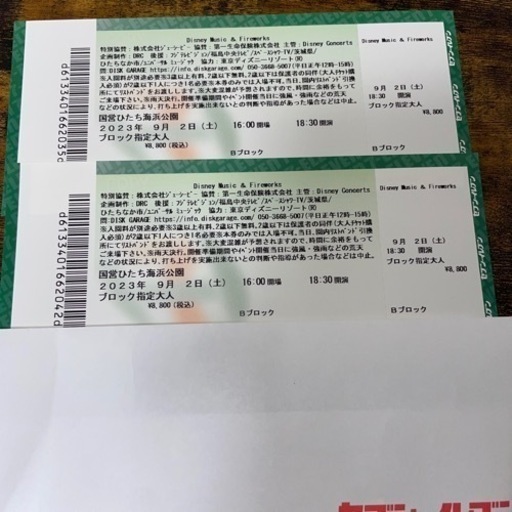 Disney Music&Fireworks鑑賞チケット