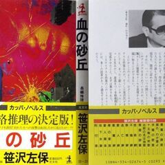 【ノベルズ古本】笹沢佐保「血の砂丘（初版1刷・帯付き）」・・・主人公が誘拐した実の娘を更に誘拐されてしまうという二重誘拐・・・の画像