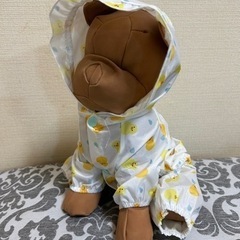 レインコート　犬　