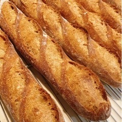 パン職人募集の画像