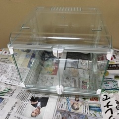 グラスハーモニー250キューブの画像