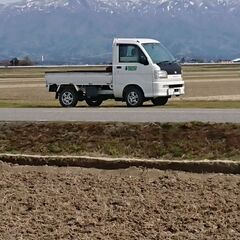 旧車丸目、三菱ダンプ、軽トラック、四駆、無論エアコンパワステ無し、本気の方希望、三菱ダンプは籾殻運搬専門に使用田んぼに籾殻まけます、リミテッドスリップデフ、スパーロー付きミッションです、ダイハツエアコンパワステ付きは完了しました、有難うございました‼️の画像