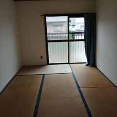 たたみ　畳　173×89など