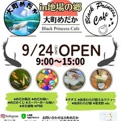 めだか販売会開催します⭐︎