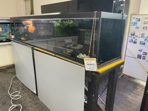 水槽《値下げ》アクリル　240x50x50㎝