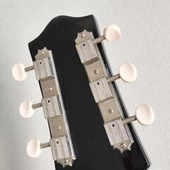 近所でしたら配達致します。　THE LOAR フルアコの画像