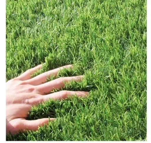 人工芝　夏色グリーン / 幅2m×奥行10m / U字固定ピン48本付き