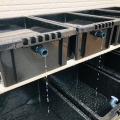 メダカ飼育ラック ブラック　【接着剤付き】 NVBOX13を8個置けますの画像