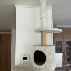 キャットタワー（中古）の画像