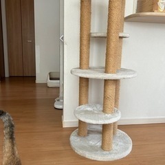 キャットタワー（中古）の画像