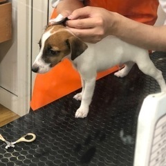 ミユキババさんに決まりました！