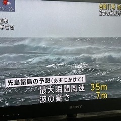 テレビ　Sony Bravia 