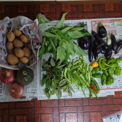 【お取引先決定済み】かぼちゃと野菜と玉ねぎのセット
