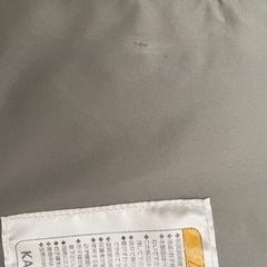 ベビーバウンサー ｜ ドリーマー （インザレイン）の画像