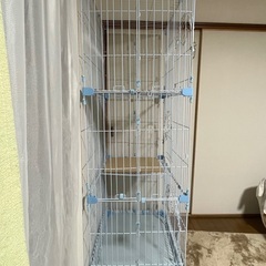 キャットゲージの画像