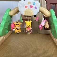 プーメリーの画像