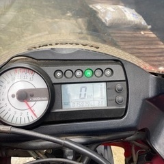 ヒョウスン250の画像