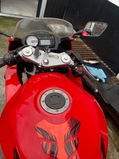 ヒョウスン250